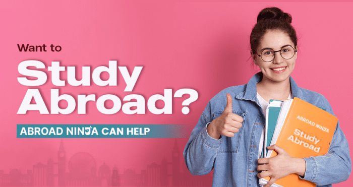 Want to Study Abroad? Your Guide - Abroad Ninja, Can Help - Abroad Ninja