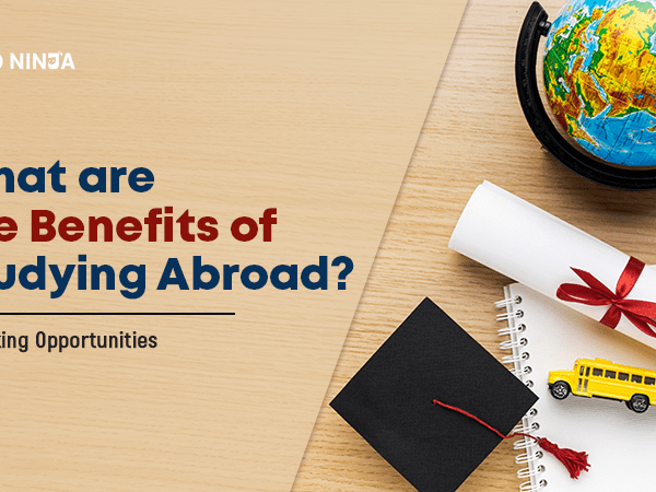 What are the Benefits of Studying Abroad